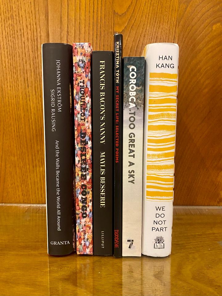 A photograph of the 6 titles shortlisted for the Warwick Prize for Women in Translation in 2025. The books are stood on their side on a wooden table with wood panelling backdrop.